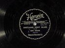 78 RPM -- Son House / Willie Brown, Herwin 94204 