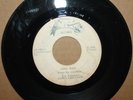 FABULOUS GOD'S CREATION, Free Ride / ALL ONES AGAIN - Gospel 45 HUMMINGBIRD 1983