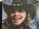 Hank Williams Jr - Greatest Hits - Vinyl Album LP- 1982 Elektra - EX