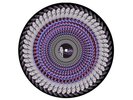 Olivia Rodrigo Guts (Spilled) Zoetrope Picture Disc Vinyl Record - Presale Ltd