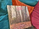 Twink   Think Pink      LP   Psych   Acid Archives   NM   Still Sealed