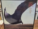 Pink Floyd High Hopes 1994 Blue Vinyl Lp Album With All 7 Cards And Envelopes