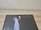 Stevie Nicks Bella Donna Vinyl LP 1981 SEALED