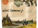 Yours to Keep by Albert Hammond Jr. (2006), Vinyl LP, RSD 2016 Exclusive 1/2500
