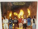 Lynyrd Skynyrd - Street Survivors Vinyl LP - 1977 - Flames Cover -1st Press