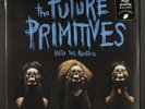 FUTURE PRIMITIVES: into the primitive VOODOO RHYTHM 12