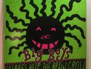 Big Boys - Lullabies Help The Brain Grow Vinyl LP Original 1984 E-1128