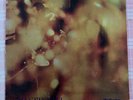 Steamhammer “Reflection” LP Gatefold Sleeve 1969 CBS S 63611