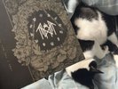 Sleep Token Jaws + TWTYW Vinyl LIMITED