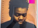 Tracy Chapman LP S/T   Original   Elektra 60774   Sealed  W/ Hype Sticker NM