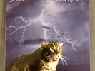 Smog- Knock Knock Vinyl New/Sealed