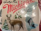 Sufjan Stevens- Michigan-University of Michigan-Blue Green Color 2XLP Vinyl-New