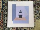 Devendra Banhart Mala Vinyl