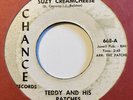 TEDDY & HIS PATCHES Suzy Creamcheese From Day To Day Garage Psych Chance 668 45