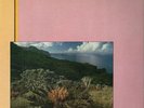Friedemann Indian Summer Biber Vinyl LP