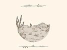 Gregory Alan Isakov Appaloosa Bones (Vinyl LP 12
