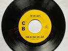 THE DEL RAY'S - Turn On Your Love Light / Anna - 1964  R&B/GARAGE 45