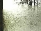 Bon Iver : For Emma, Forever Ago Vinyl 12