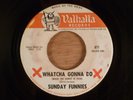 Sunday Funnies  Whatcha Gonna Do/A Pindaric Ode RARE  Garage, Soul 1967 Valhalla