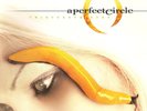 A Perfect Circle - Thirteenth Step (2xLP, Album, RE, Gat) (Mint (M))