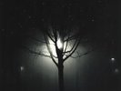 I Am Kloot Sky At Night GATEFOLD NEAR MINT Pias Vinyl LP