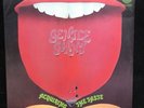 GENTLE GIANT ACQUIRING THE TASTE GATEFOLD VERTIGO 6360041 1974 EX/EX