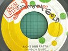 FREDDIE MCGREGOR Beat Down Babylon IM COUNT OSSIE Right Onn Rasta IRON SIDE JA