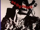 REDD KROSS - Born Innocent - Vinyl (coloured vinyl LP)