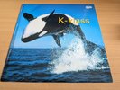 K-KLASS - Let Me Show You [12R 6367] VERY RARE 12