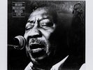MUDDY WATERS - MISSISSIPPI WATERS LIVE - N/M vinyl LP