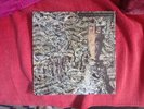 Siouxsie and The Banshees - Juju (POLD5155) 1981 (LP)