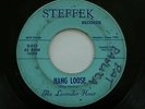 The Lavender Hour 45 Rpm Record Hang Loose / I'm Sorry Texas Garage