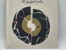 NEW The Gaslight Anthem Forty Five You Got Lucky 7