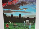 MR. MISTER 