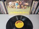 LOS CADETES DE LINARES  Los Dos Amigos LP VINYL Mexico Norteñas Ramex - VG+