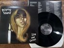 Reigning Sound – Love And Curses LP In The Red ITR155 - Garage Rock - NM