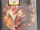 Madonna Vinyl Picture Disc Music Single 12”