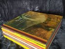 Pack De 20 Vinyles Musique Classique