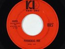 Garage Psych Fuzz 45 - Ides' - Psychedelic Ride/Only Your Love - Ken-Del - rare