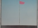 WIRE: PINK FLAG, Original Vinyl LP, Harvest SHSP 4076, 1977