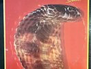 Blackfoot Strikes 1979 Vinyl LP ATCO Records  Excellent Condition