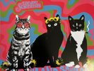 We Are Scientists - With Love And Squalor Live At Woodstock.  Brand New Vinyl.