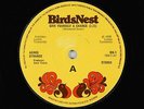 Hard Rock Punk 45 - Agnes Strange - Give Yourself A Chance - BirdsNest UK - VG+