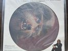 Warren Zevon Werewolves of London Picture Disc 1978 Radio Station Promo AS-11386