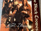 The Black Crowes Hotel Illness 12