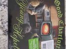 Good Charlotte The Young and The Hopeless Vinyl LP Album Neon Green Sealed