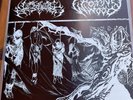 Wormwood Fall of the Bastards Vinyl Split Single 7