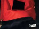 Storm Front by Billy Joel, Red Vinyl LP