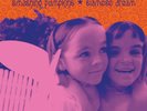 The Smashing Pumpkins Siamese Dream (Vinyl) 12