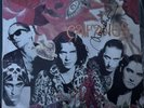 CAIFANES EL DIABLITO LP  1st Pressing/ W Signature From Alejandro Marcovich